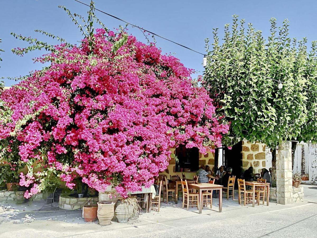 Villa Artemis Vryses Crete Alikampos Extérieur photo